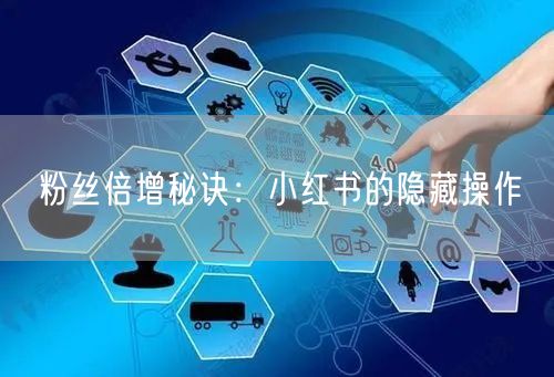 粉丝倍增秘诀:小红书的隐藏操作