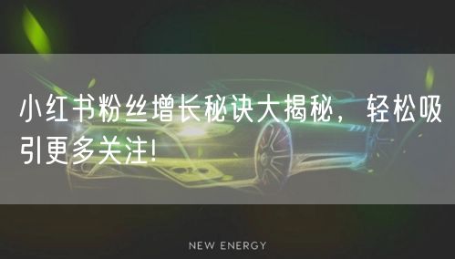 小红书粉丝增长秘诀大揭秘,轻松吸引更多关注!