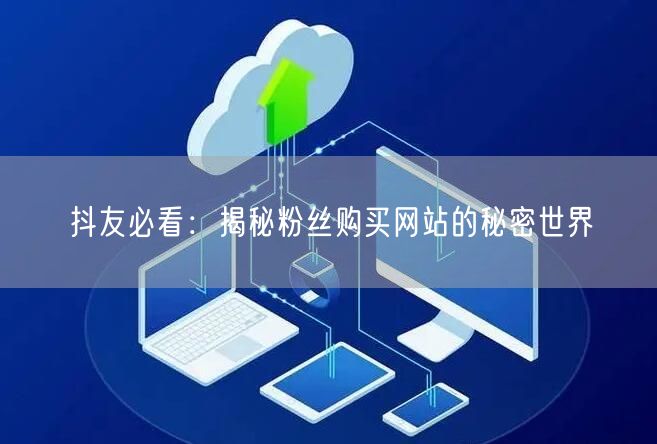 抖友必看：揭秘粉丝购买网站的秘密世界