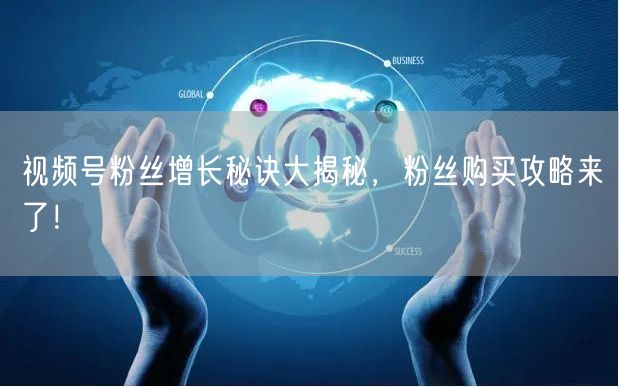 视频号粉丝增长秘诀大揭秘，粉丝购买攻略来了！