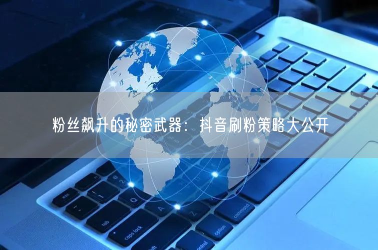 粉丝飙升的秘密武器：抖音刷粉策略大公开