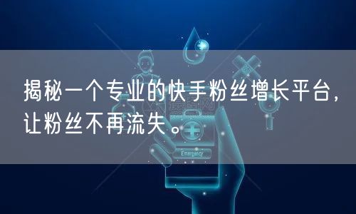 揭秘一个专业的快手粉丝增长平台,让粉丝不再流失。