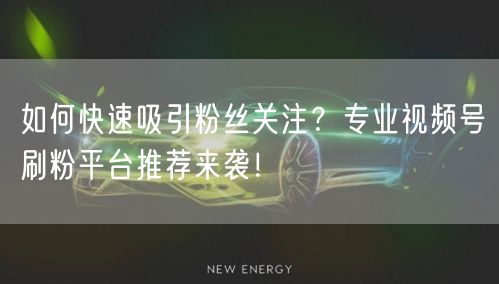 如何快速吸引粉丝关注？专业视频号刷粉平台推荐来袭！